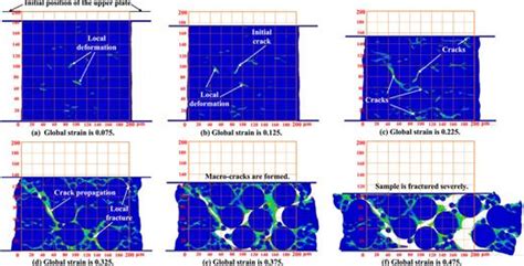 Numerical Simulation of Impact Response of Board